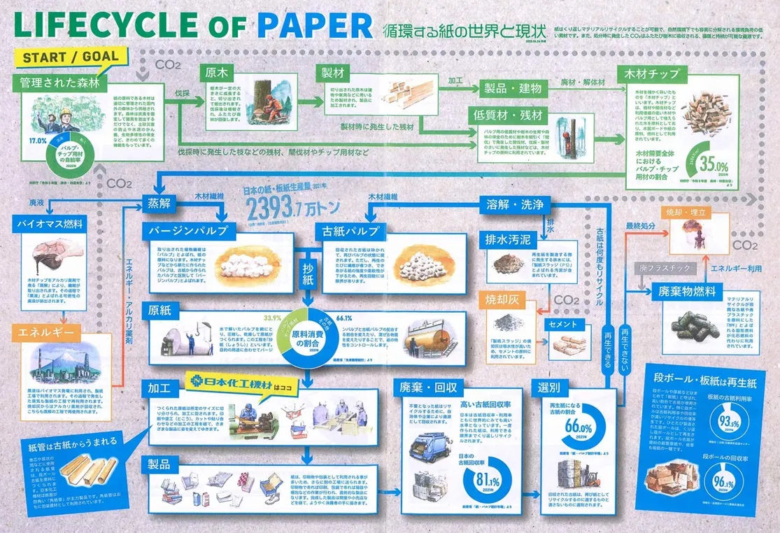 循環する紙の世界と現状